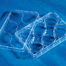 Corning #3506 6 Well Clear TC-Treated Microplates, 5/pack, 100 plates/case