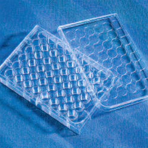 Corning 3548 48 Well Clear TCTreated Multiple Well Plates