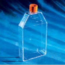 Corning #430825 150cm&sup2; Rectangular Canted Neck Cell Culture Flask with Vent Cap, 5/pack, 50 flasks/case