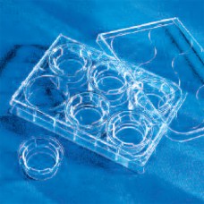 Corning #3412 24mm with 0.4&micro;m Pore PC Membrane Insert, 24 wells/case