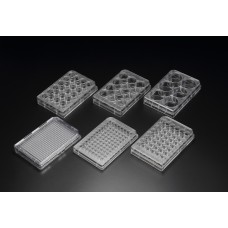 SPL #30096 Cell Culture Plate, PS, 96 well, 85.4x127.6mm, Flat Bottom, TC treated, Sterile pkg of 1/50
