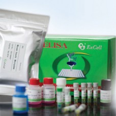 ExCell #EM018-96 Mouse MCP-1 ELISA kit, 96t